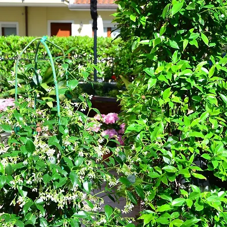 Hotel Garisenda Misano Adriatico