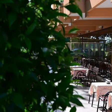 Garisenda 3* Misano Adriatico