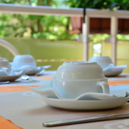 Garisenda Отель Мизано-Адриатико